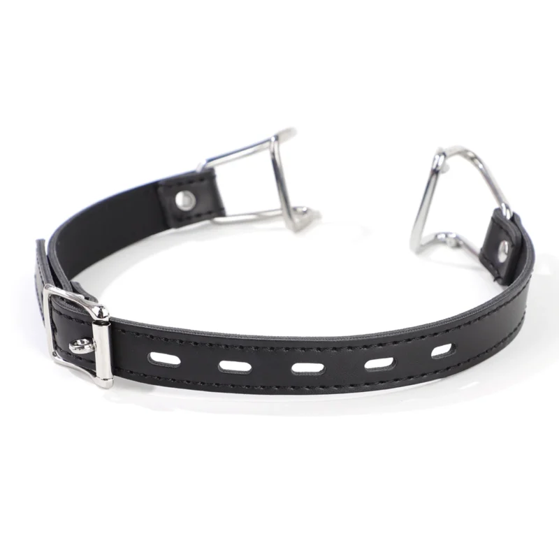 Back view of mouth hook gag with PU leather straps and metal buckle closure