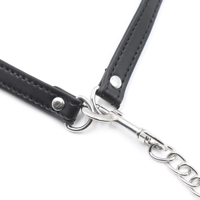 Close-up of leash chain connection to PU leather strap, showing durability and attachment